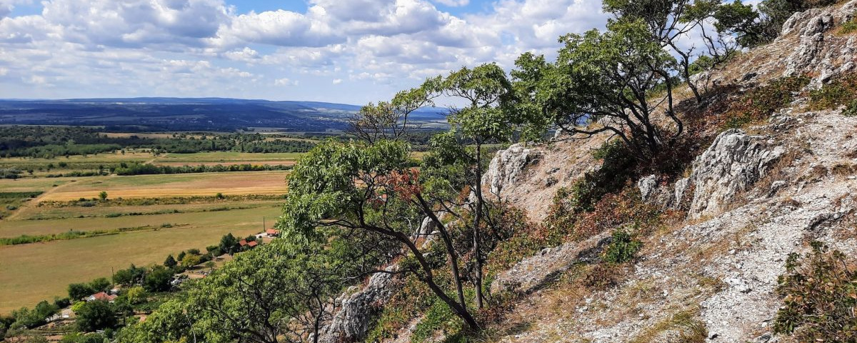 Sokezer lépés a rákkutatásért - Vértes jótékonysági túra ősz  - 40 000 lépés / 20 000 lépés / 10 000 lépés