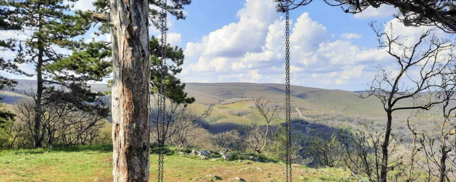 Onedoor Trail TT 2026  - Tubes Trail - 12 km / Misina Trail - 25 km / Jakab Ultra Trail - 50 km