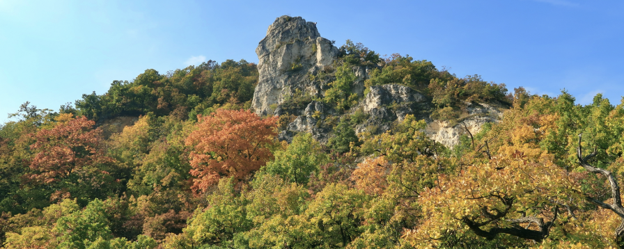 Hősök nyomában – 2026  - 21,29 km