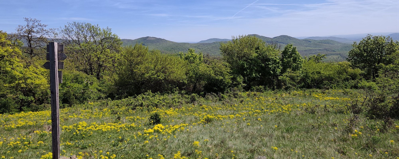 Bakancsok a Duna irányába  - BaDi 50 / BaDi 30 / BaDi 20 / BaDi 10