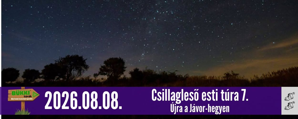 Csillagleső esti túra 7.-Újra a Jávor-hegyen