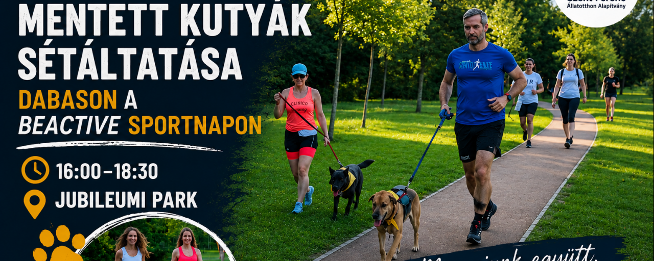 Mentett kutyák sétáltatása