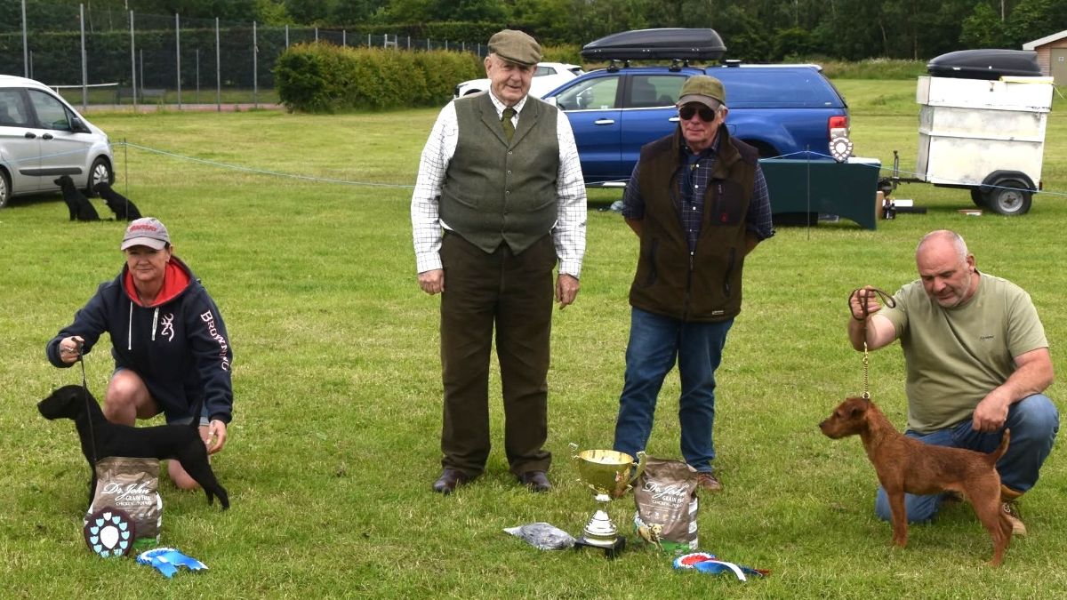 At the “regular” F&MWTC show that followed the Best of the Best Competition, two judges were required to determine the Champion and Reserve. The black Fell Terrier on the left was Reserve while the Lakeland on the right was the overall Terrier Champion (a