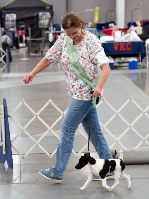 Senior Showmanship at the First Colony Cluster
