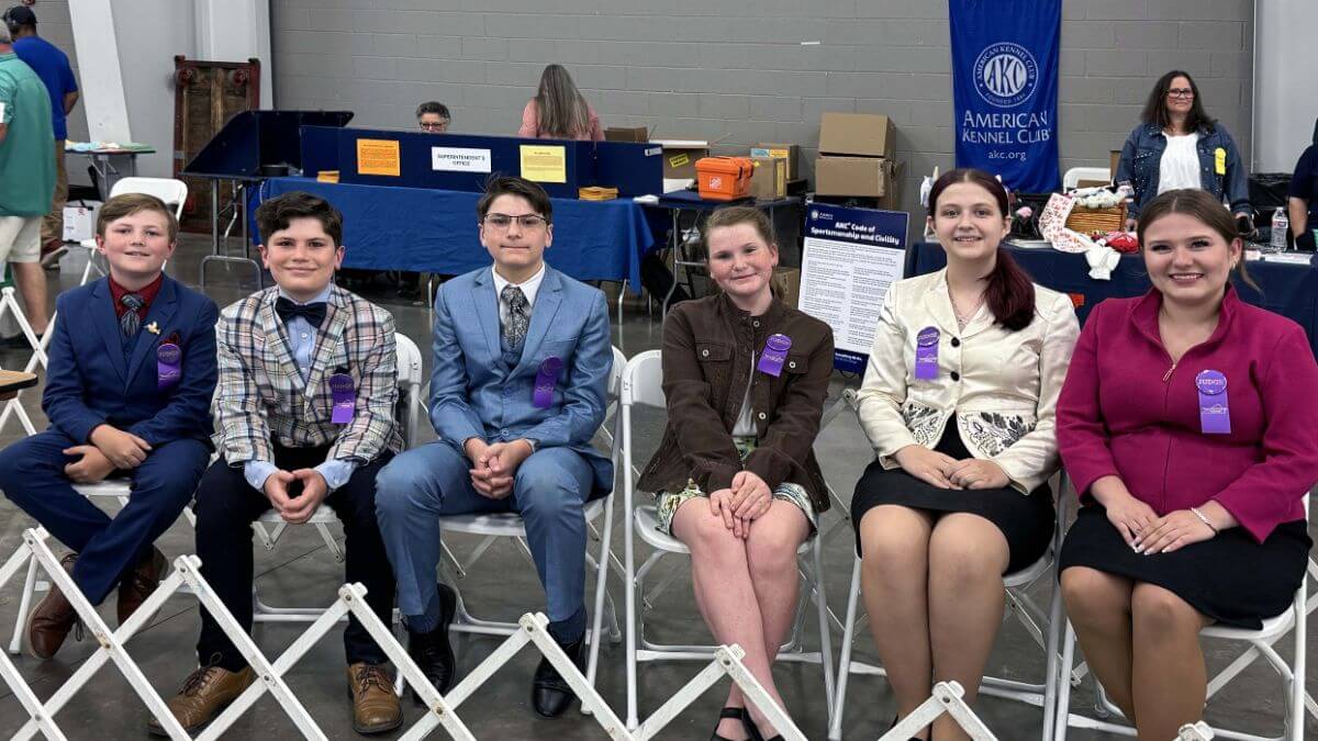 The Junior Judges sit ringside prior to judging the Senior Showmanship classes. photo by Mari-Beth O’Neill