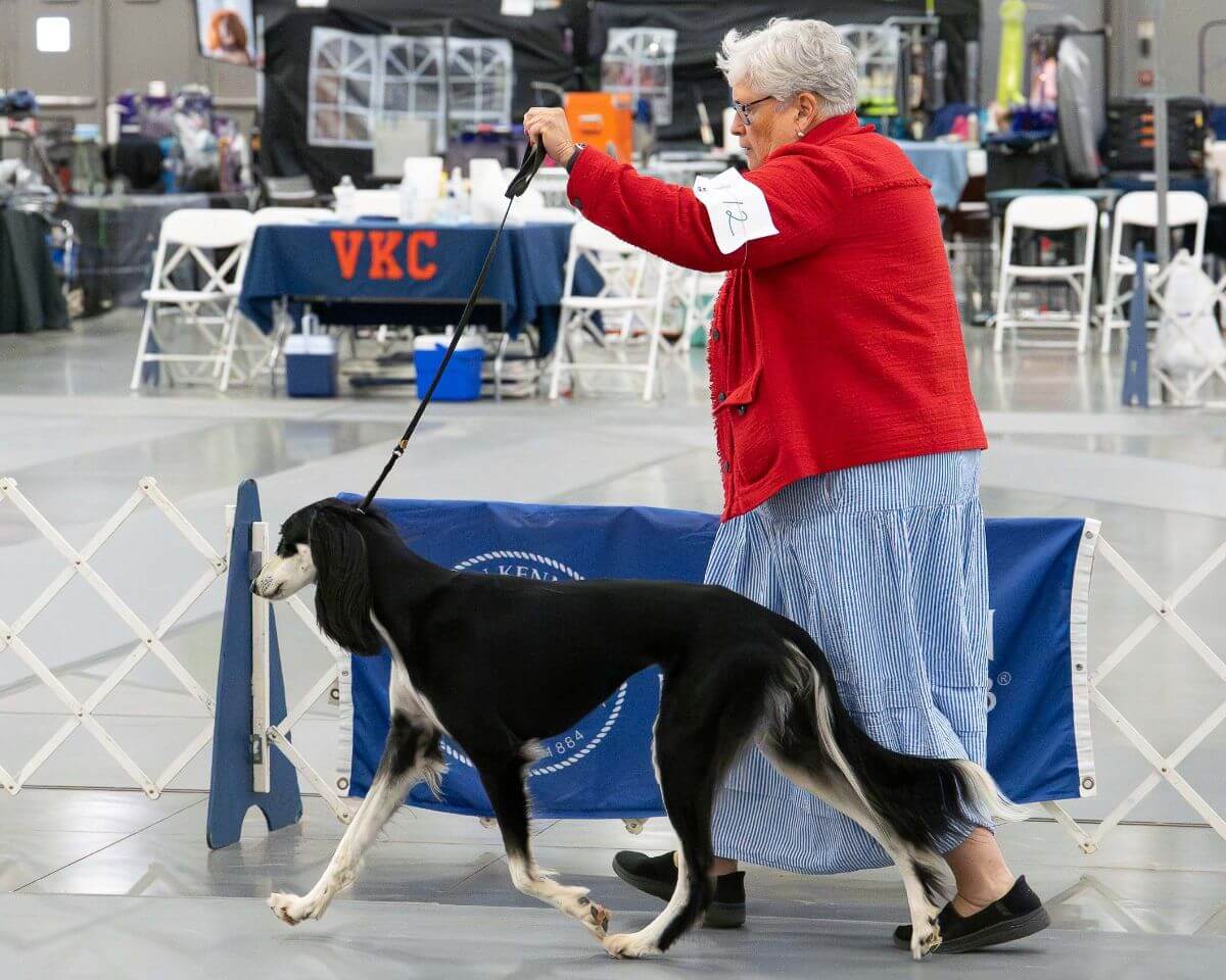 Senior Showmanship at the First Colony Cluster
