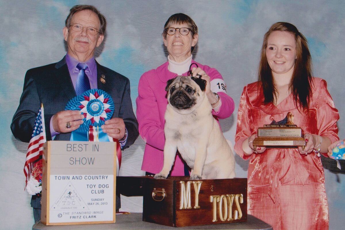 Buster, GCHG Pine Cone’s Green Mountain Boy. He is littermate to Chloe and was a RBIS winner. Ashley showed him while Michael showed Chloe.