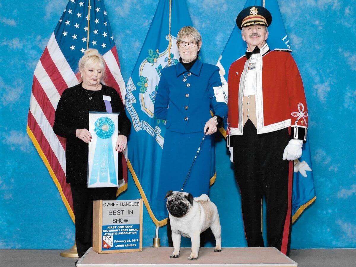 Blake, GCHG Casa Blanca’s I Pick Blake At Castlerock. Blake was also a Top 10 ranked dog, shown by Ashley his first year as a special and by Michael Scott the following two years. He also was a multiple Group winner. He received an Award of Excellence and