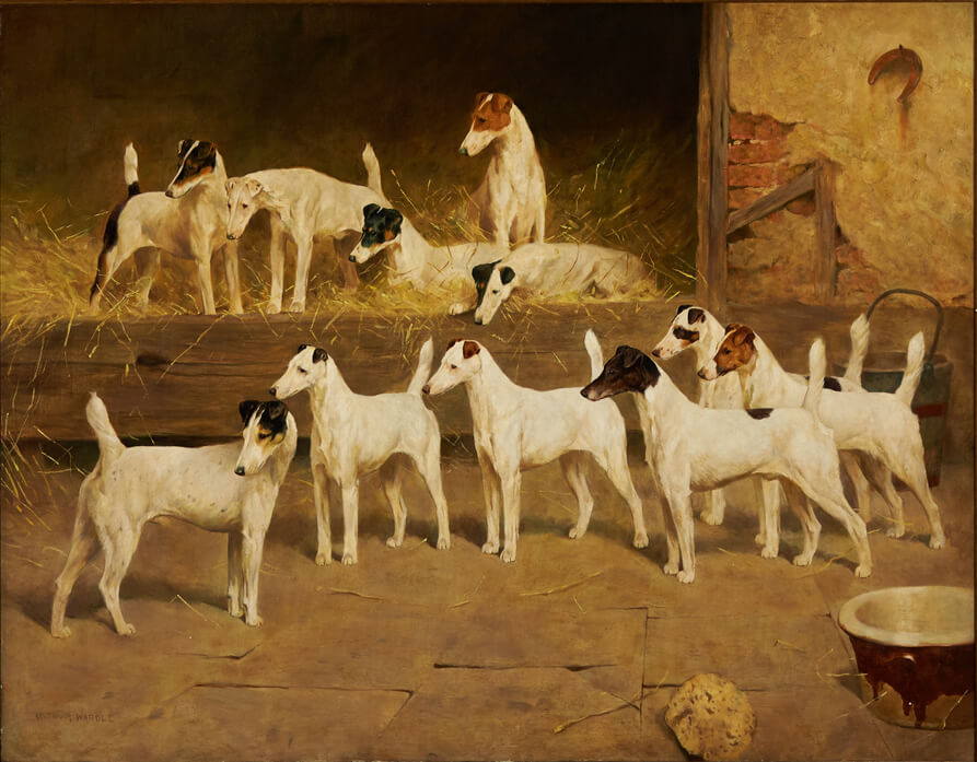 In later years, Wardle would complain about the constant oversight and “meddling” from the dogs’ owner (and his customer). Perhaps this accounts for the superb toplines and universally small, deep-set eyes. (This painting is owned by the Royal Kennel Club