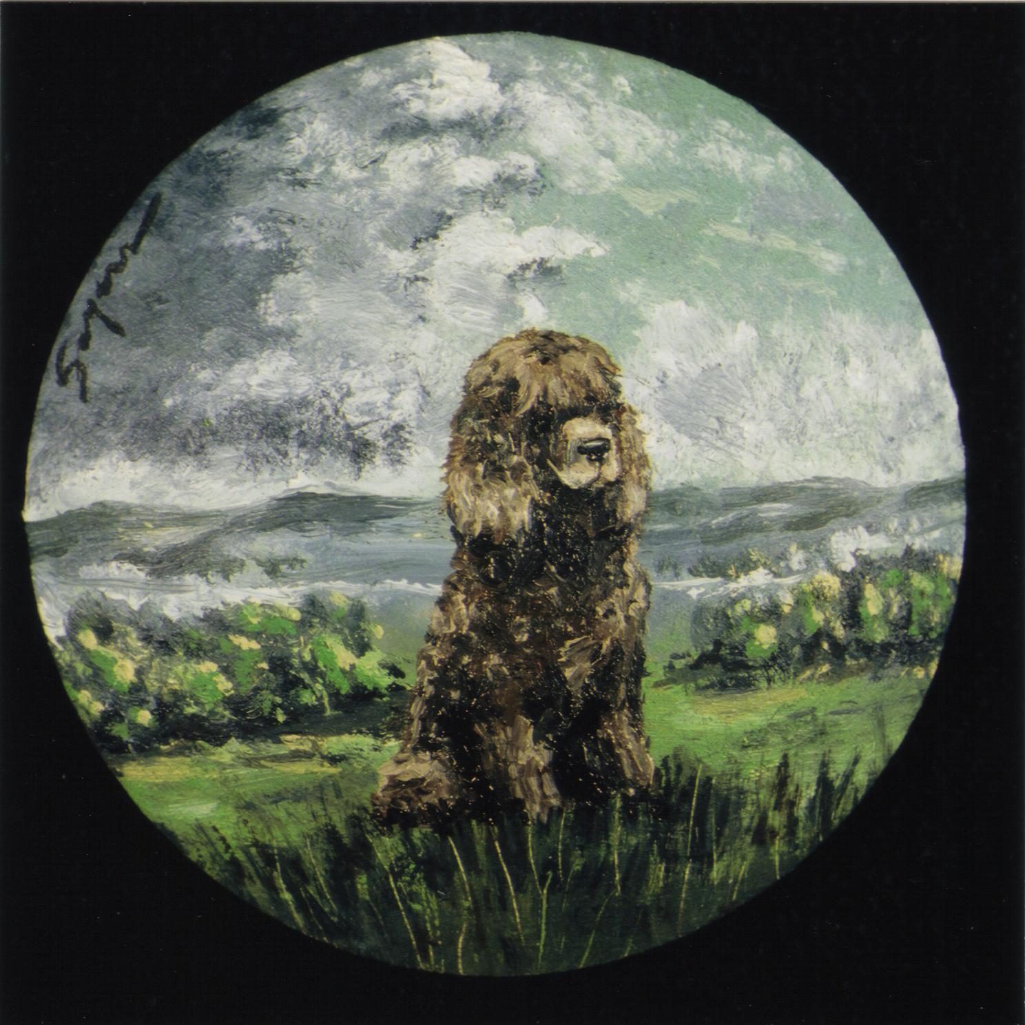 Dan Sayers / Quiet Storm Irish Water Spaniels