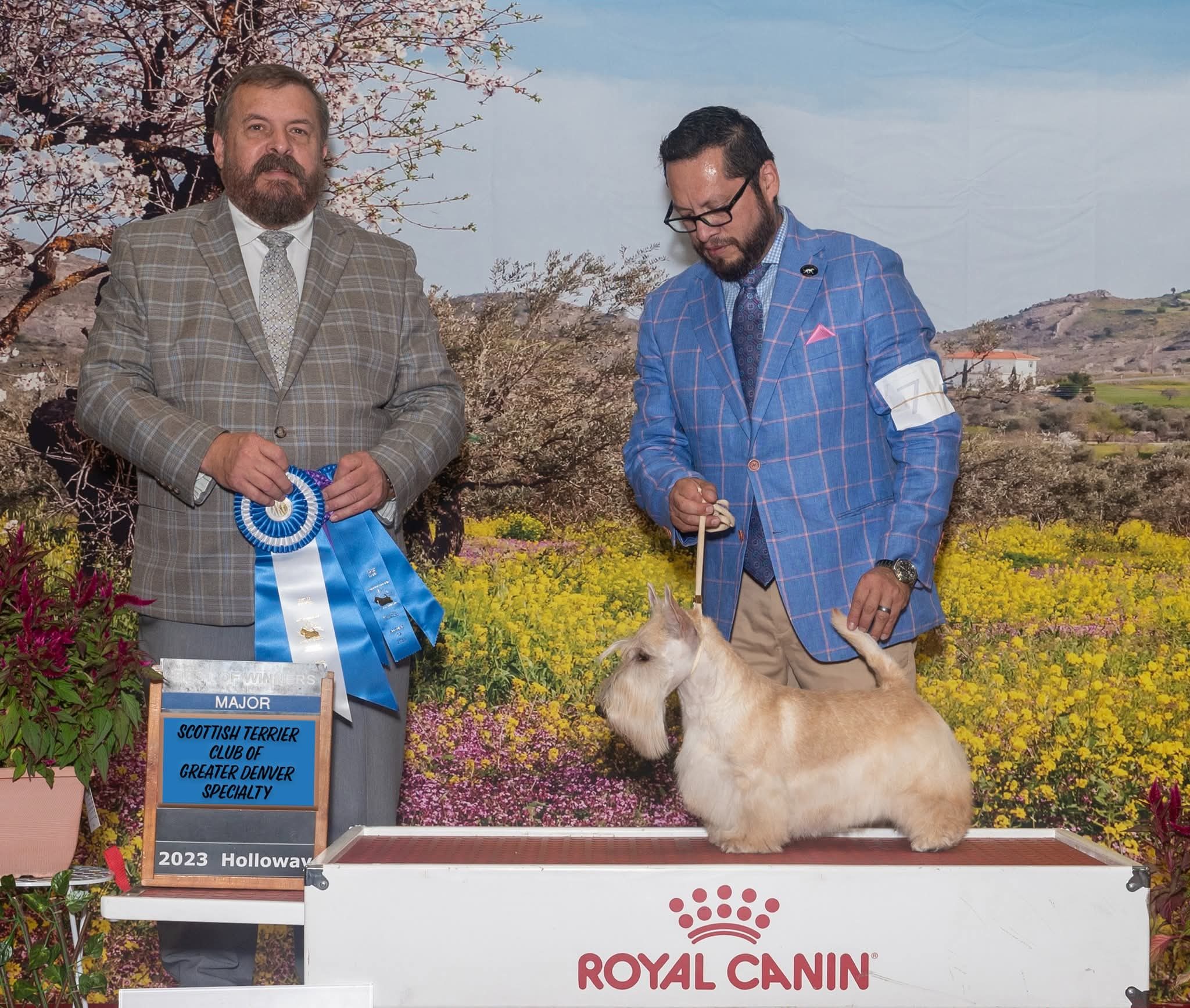 Sun Dog Handling & Grooming