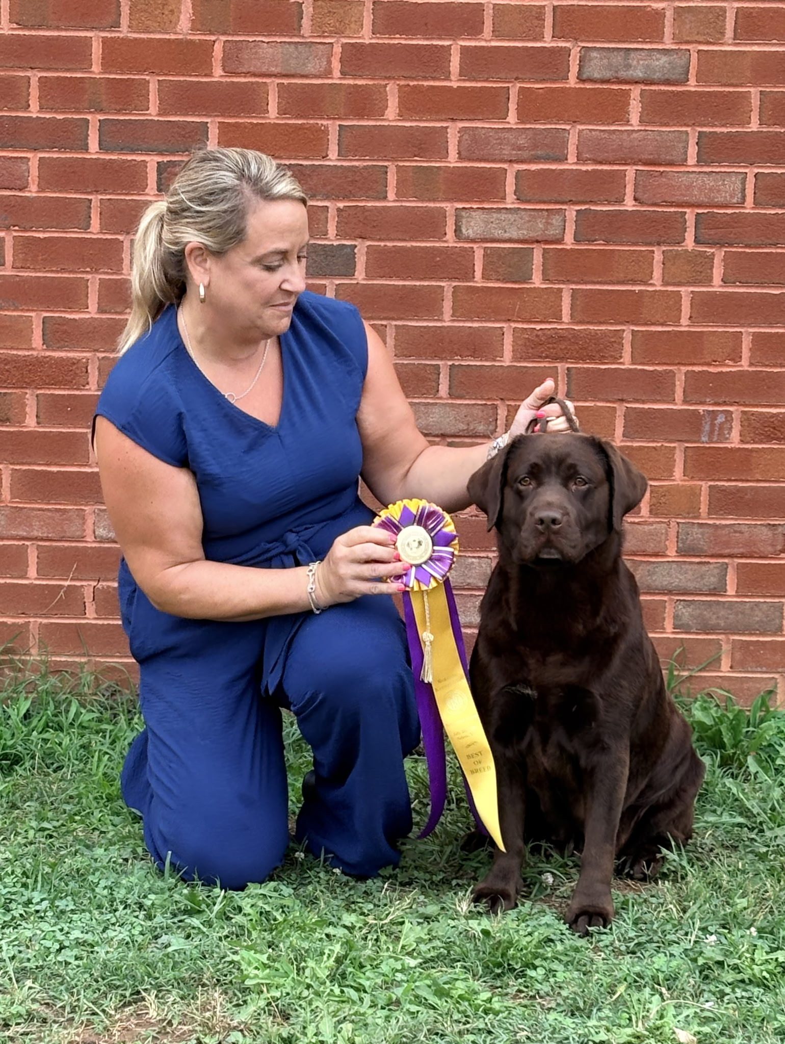 GCHB CH Lachlan's Don'T Take Me For Granite OHS DJ CGC TKN