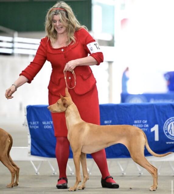 Meet the Owner Handler: Heather Bakko