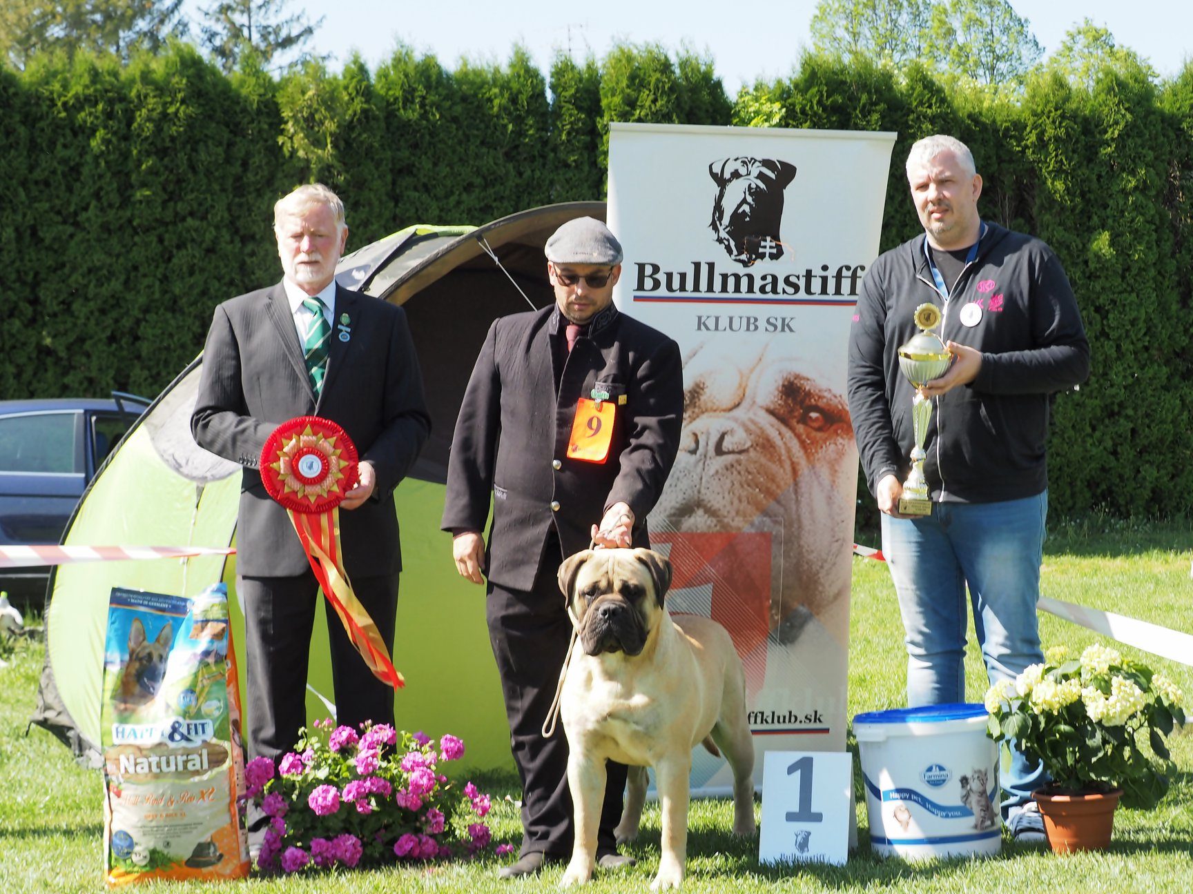Bullmastiff Club of Slovakia