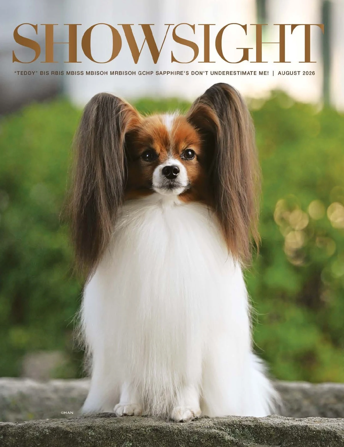 GCH CH GAMEKEEPERS RAVENSWOOD TIME-TURNER CDX RE OAP OJP | Showsight