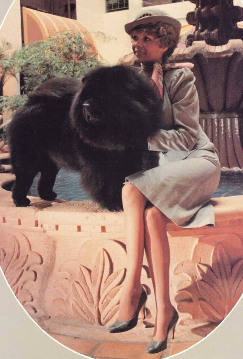 Chow Chow Woman sitting with a black Chow Chow dog