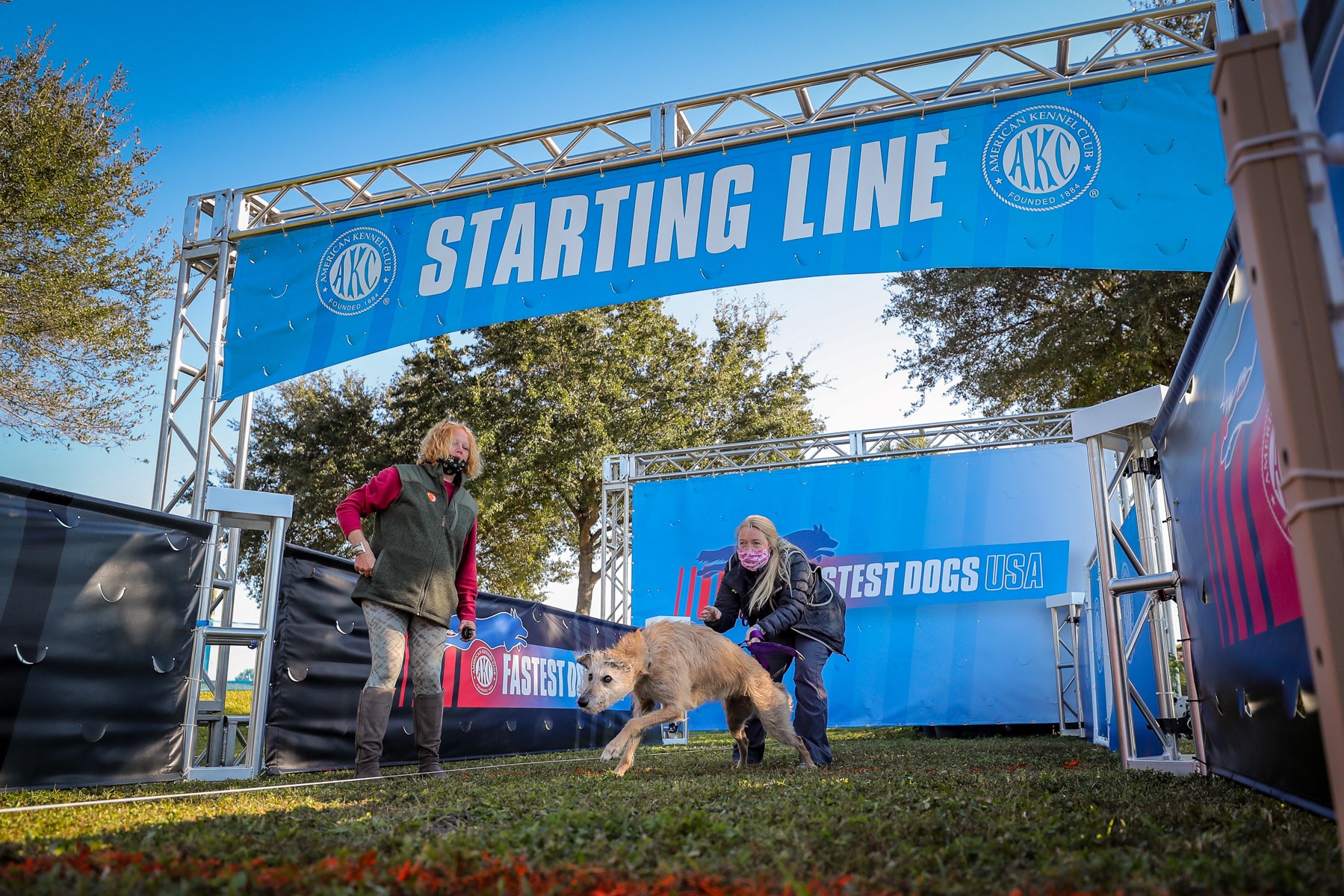 20th AKC National Championship Presented by Royal Canin 20th AKC National Championship Presented by Royal Canin