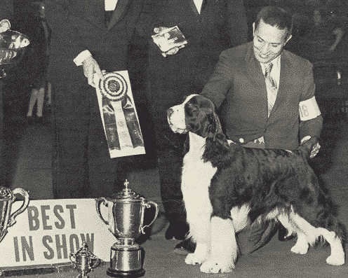 Sporting Group Changes in Grooming and Presentation Over the Years