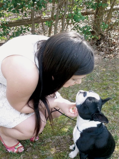The Boston Terrier Standard The Boston Terrier Standard