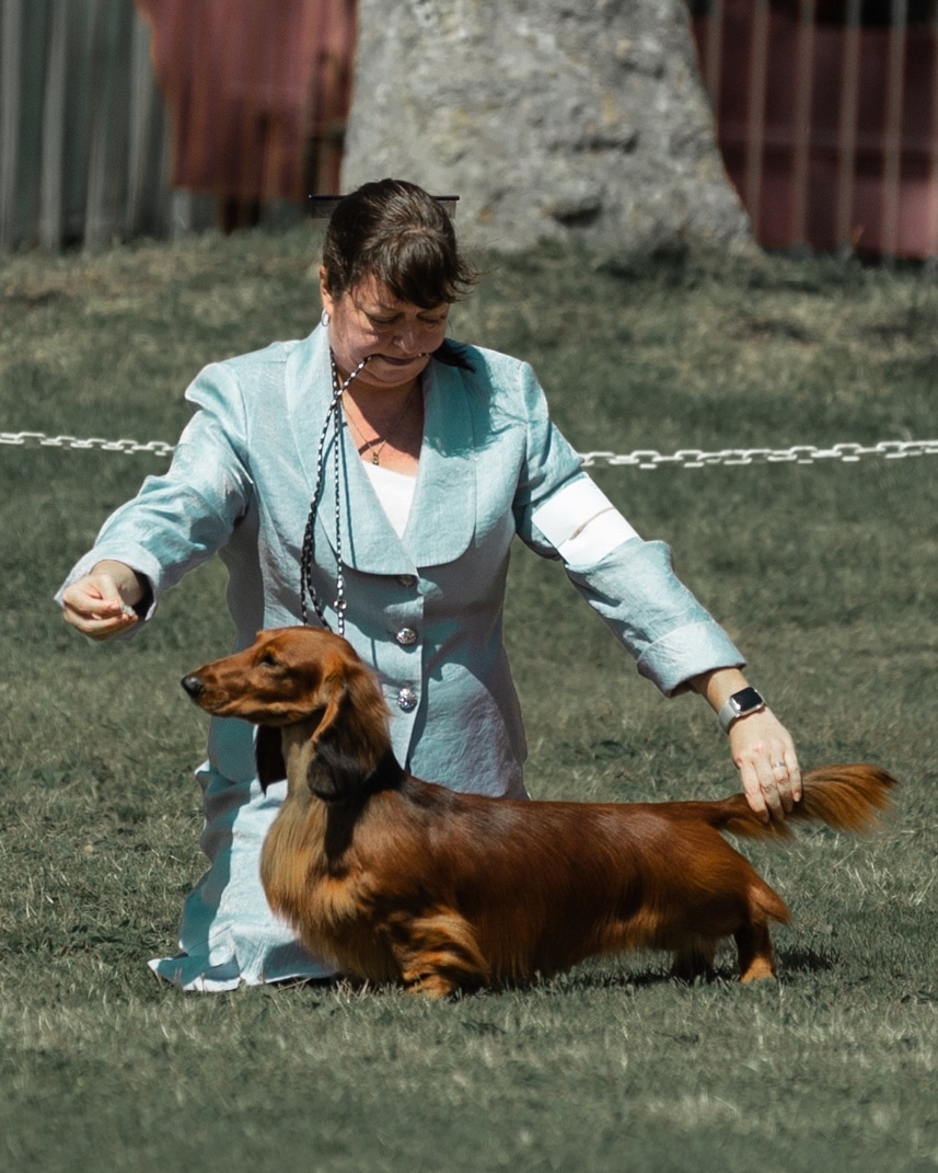 Margaret Peat | Pramada Dachshunds Margaret Peat | Pramada Dachshunds