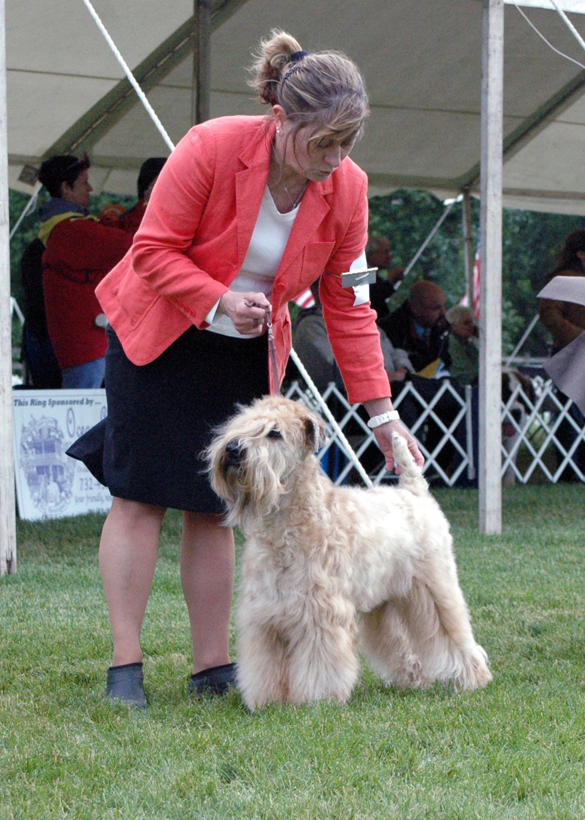 Owner Handler Contribution to the Legacy of Purebred Dogs