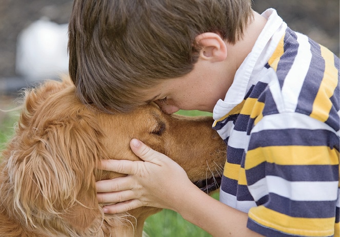 Dog Behavior | Temperament, Personality and Soundness Dog Behavior | Temperament, Personality and Soundness