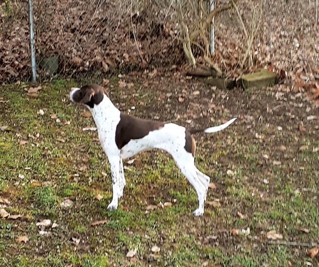 How to judge Pointers? How to judge Pointers?