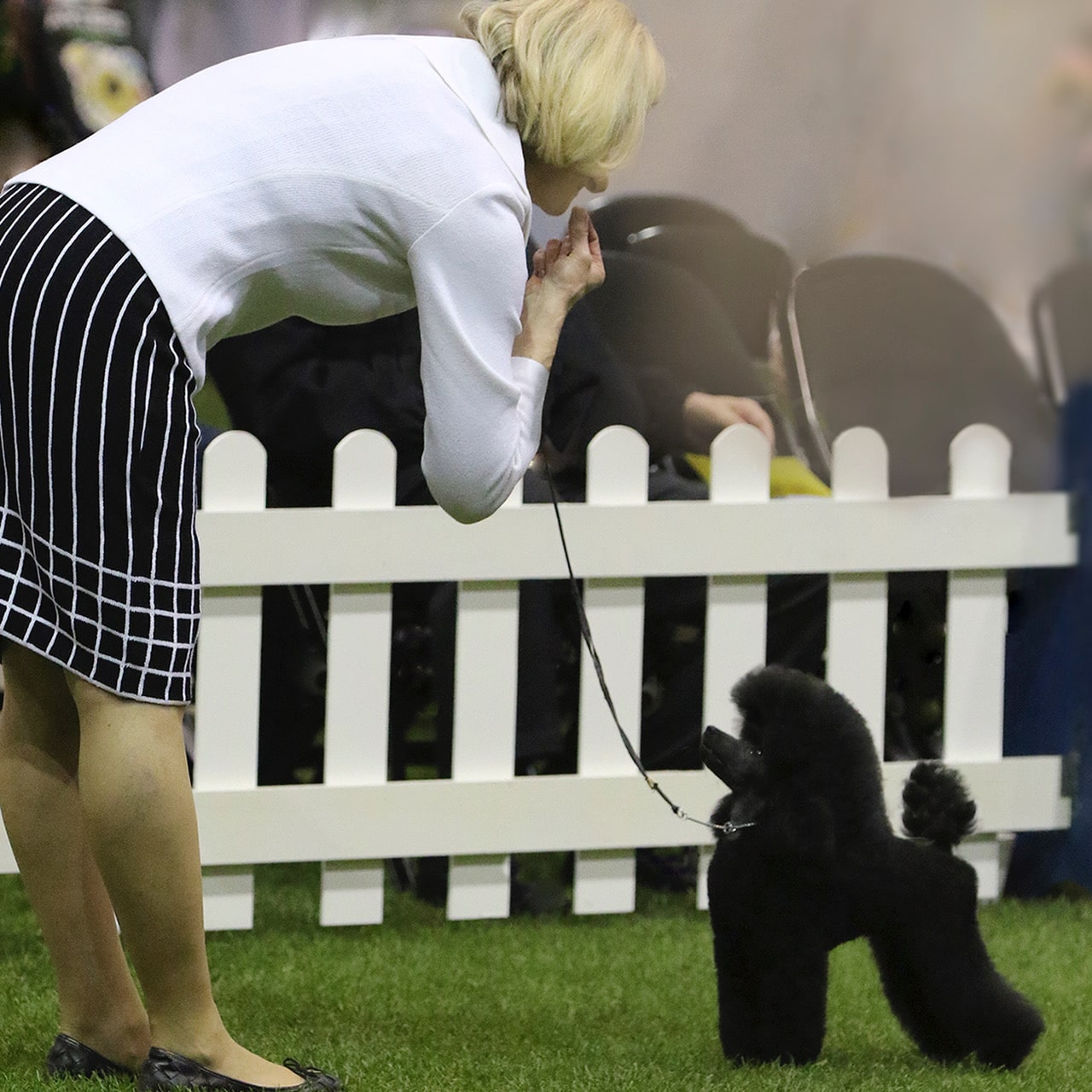 Carol Dean with GCh. DeLaPassion ByReQuest Peter Pan