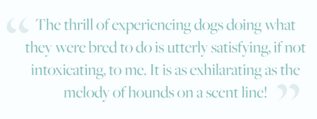 Breeding With Intention: Tenth In A Series