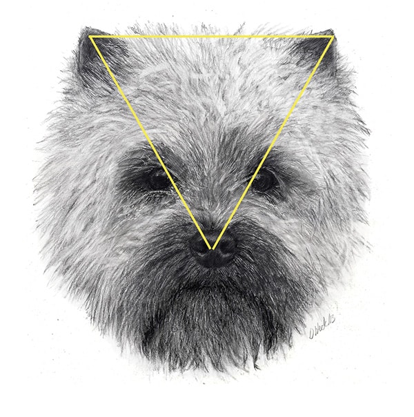 Cairn Terrier Breed Standard | General Foxy Expression Cairn Terrier Breed Standard | General Foxy Expression
