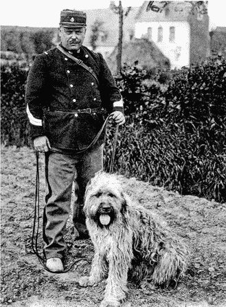 A Farmer’s Dog
