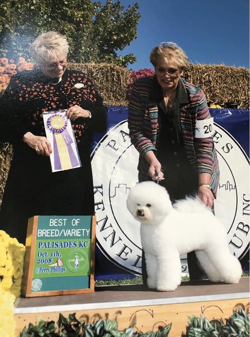 Mimi Winkler | Judges Choice Bichons Frises Mimi Winkler | Judges Choice Bichons Frises
