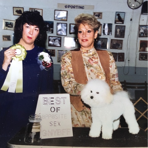 Mimi Winkler | Judges Choice Bichons Frises Mimi Winkler | Judges Choice Bichons Frises