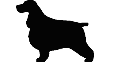 Balance and Moderation in the Breed | Cocker Spaniel Balance and Moderation in the Breed | Cocker Spaniel