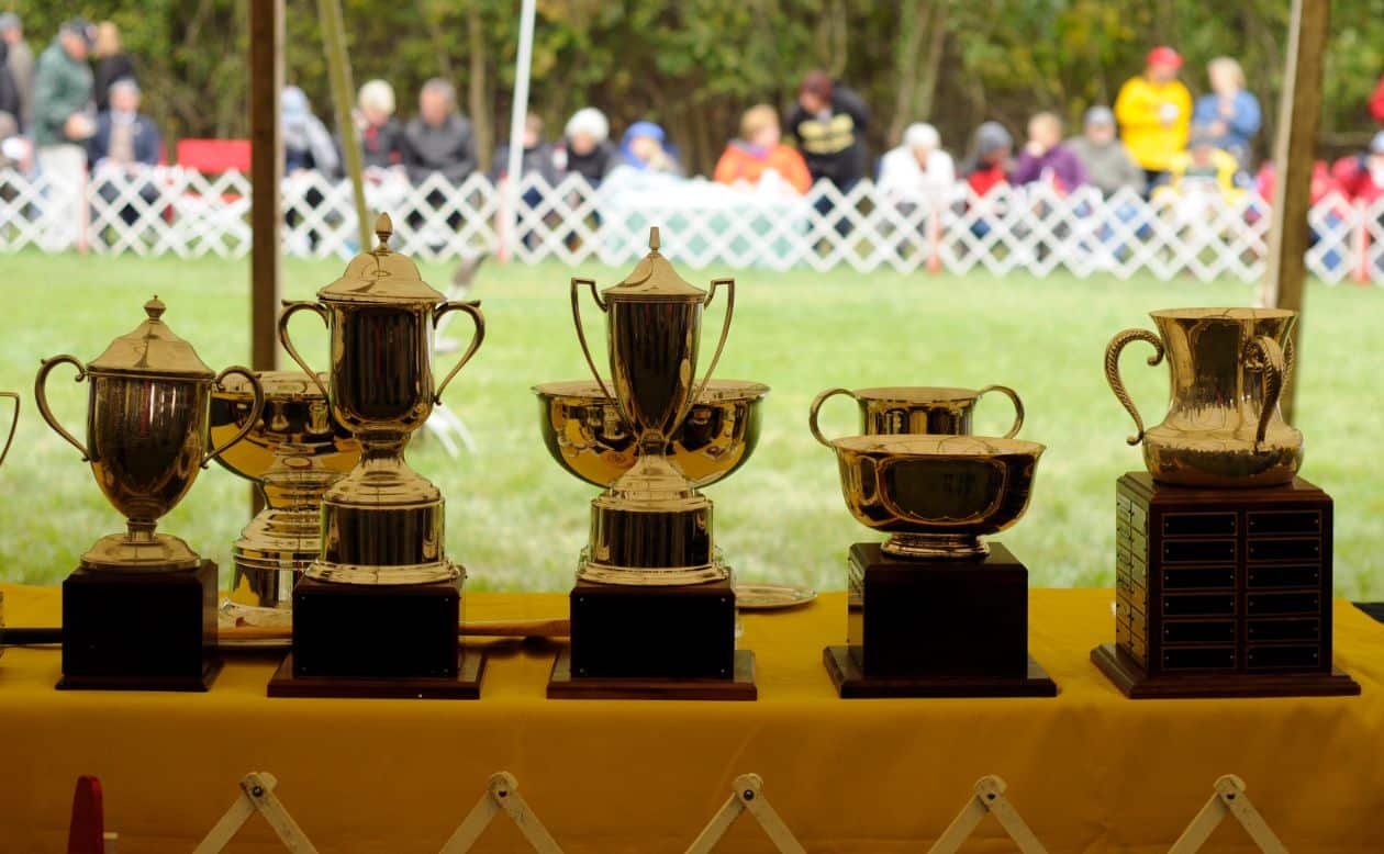 Montgomery Is the Best Medicine Image of a Montgomery trophy table displaying many of the show's finest treasures.