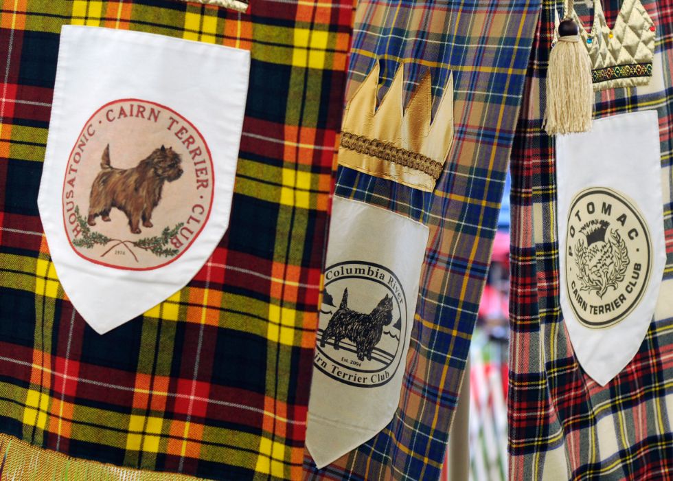 Montgomery Is the Best Medicine Tartan plaids