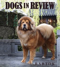 Dan Nechemias & Lois Claus | Dawa Tibetan Mastiffs Dan Nechemias & Lois Claus | Dawa Tibetan Mastiffs