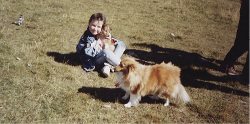 In Search of the Last Shetland Sheepdog Breeders In Search of the Last Shetland Sheepdog Breeders
