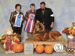 Dawa Tibetan Mastiffs | Dan Nechemias & Lois Claus