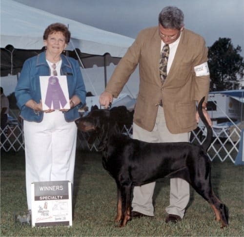 Judging The Black And Tan Coonhound Judging The Black And Tan Coonhound