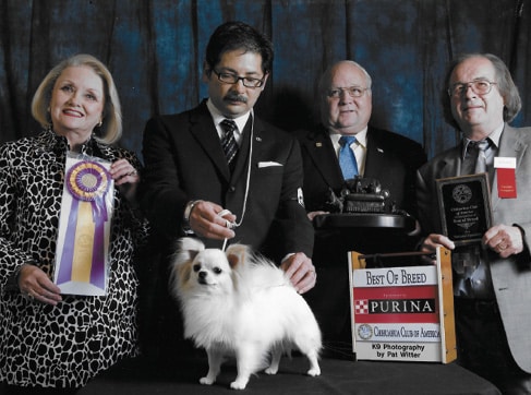 Bayard Chihuahuas | William H. (“Billy”) Miller Bayard Chihuahuas | William H. (“Billy”) Miller