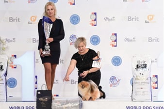 FCI World Dog Show Brno 2021