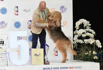 FCI World Dog Show Brno 2021 FCI World Dog Show Brno 2021