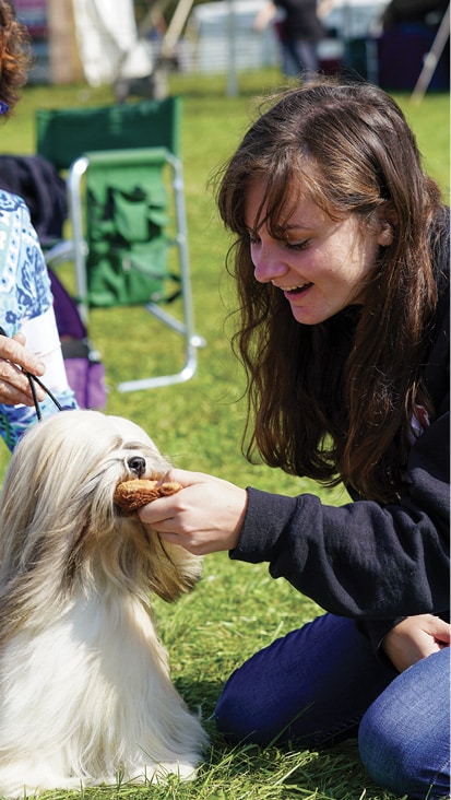 Cornell Veterinary Students Take a Deep Dive into Finger Lakes Dog Show World
