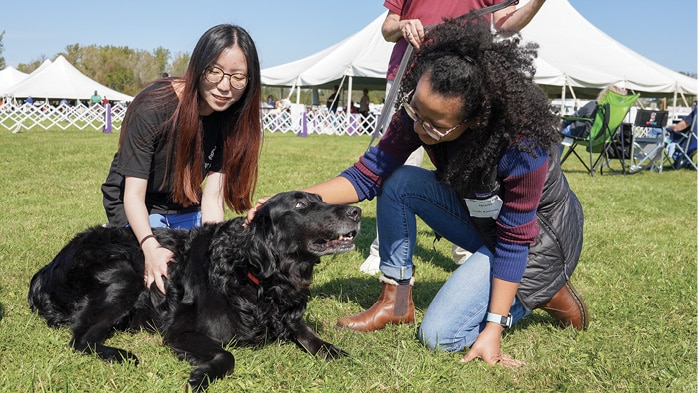 Cornell Veterinary Students Take a Deep Dive into Finger Lakes Dog Show World Cornell Veterinary Students Take a Deep Dive into Finger Lakes Dog Show World