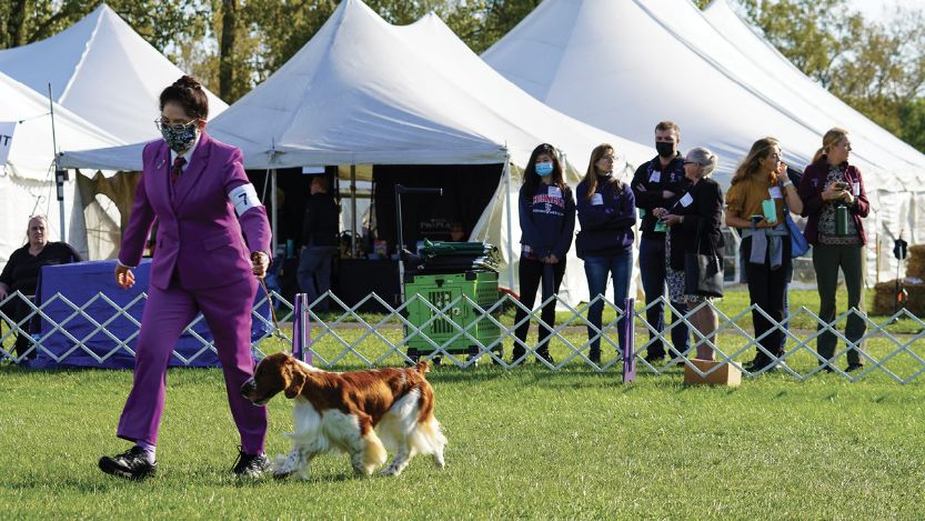 Cornell Veterinary Students Take a Deep Dive into Finger Lakes Dog Show World Cornell Veterinary Students Take a Deep Dive into Finger Lakes Dog Show World