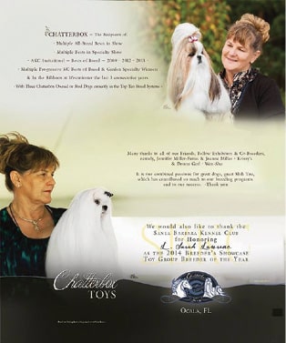 Chatterbox Shih Tzu | L. Sarah Lawrence Chatterbox Shih Tzu | L. Sarah Lawrence
