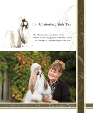 Chatterbox Shih Tzu | L. Sarah Lawrence Chatterbox Shih Tzu | L. Sarah Lawrence