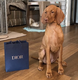 Dior Dior