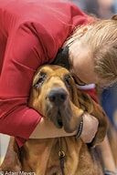 AKC Nat CH Jr Interview Emma Rogers 2021 Best Junior Handler Emma Rogers